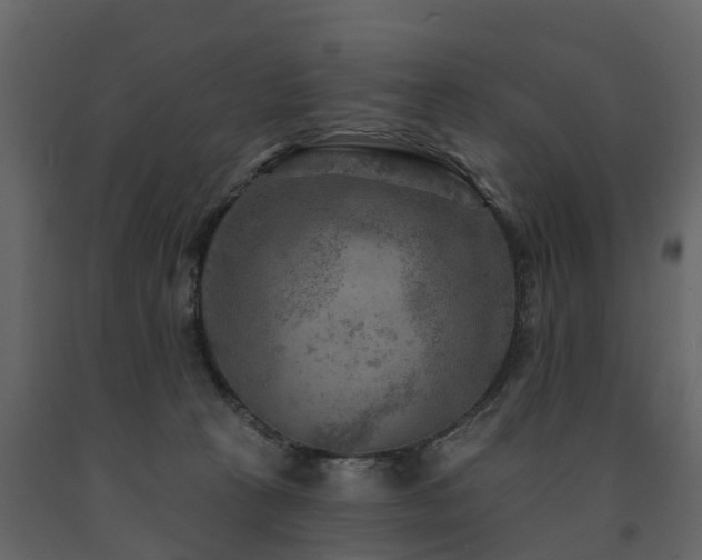 X0000091690273200708231447