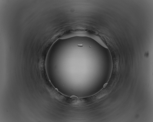 X0000091690274200708231447