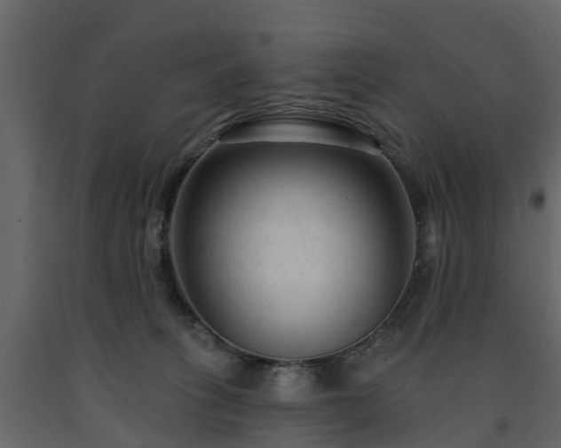 X0000091690275200708231447
