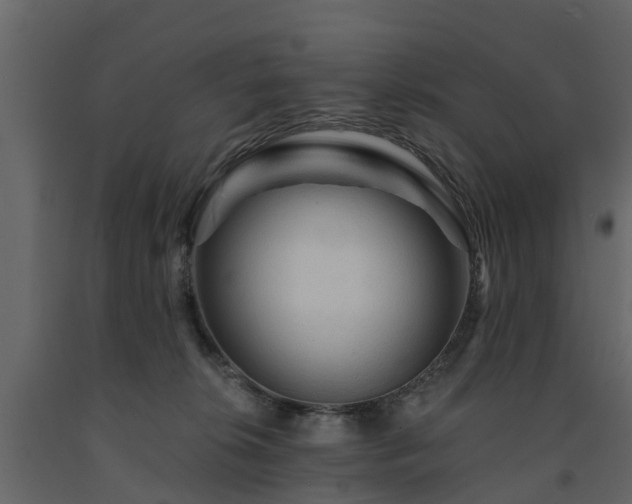 X0000091690276200708231447