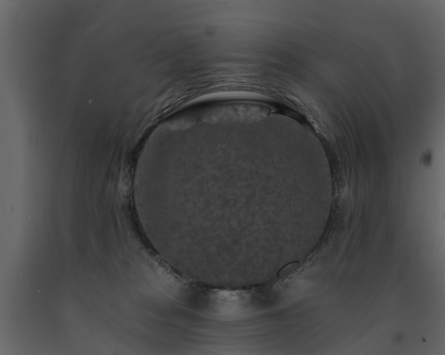 X0000091690277200708231447