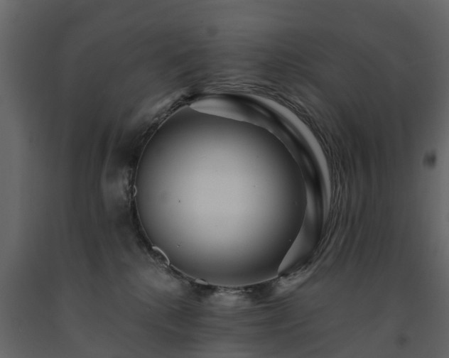 X0000091690280200708231447
