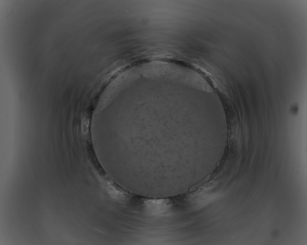 X0000091690281200708231447
