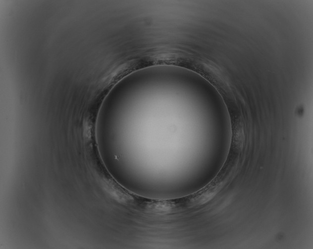X0000091690282200708231447