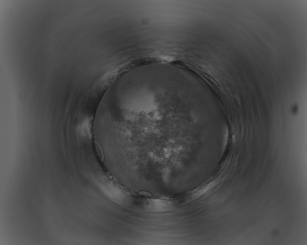 X0000091690286200708231447