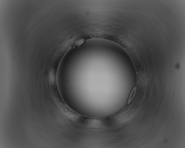 X0000091690287200708231447
