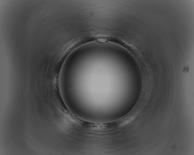 X0000091690288200708231447