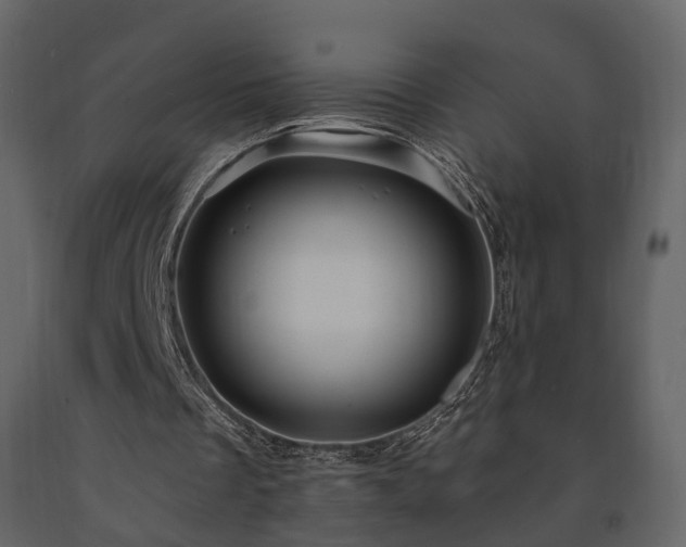 X0000091690289200708231446