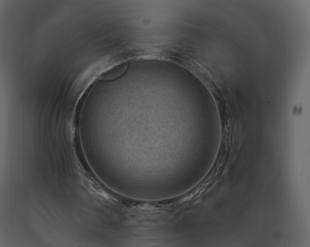 X0000091690290200708231446