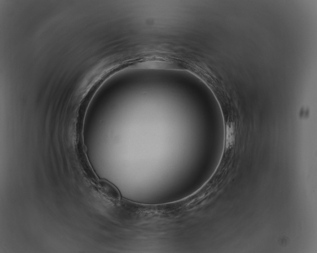 X0000091690291200708231446