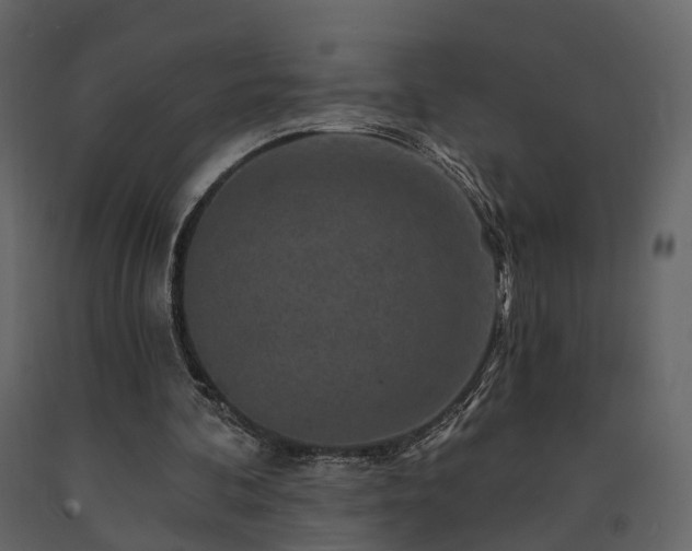 X0000091690292200708231446