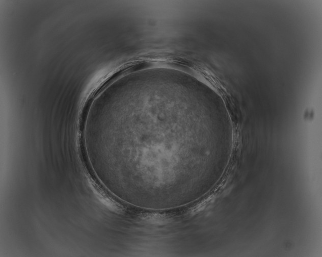 X0000091690293200708231446