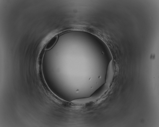 X0000091690294200708231446