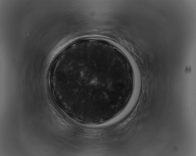 X0000091690295200708231446