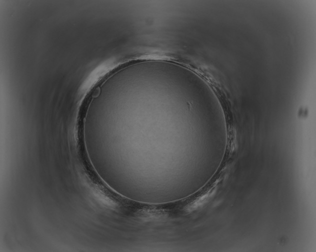 X0000091690296200708231446