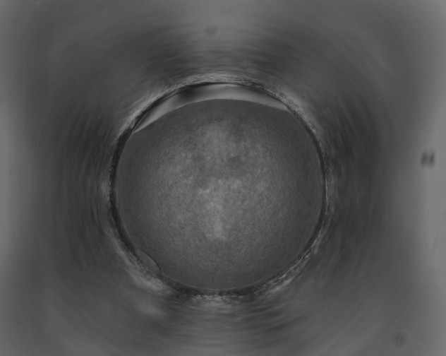 X0000091690297200708231446