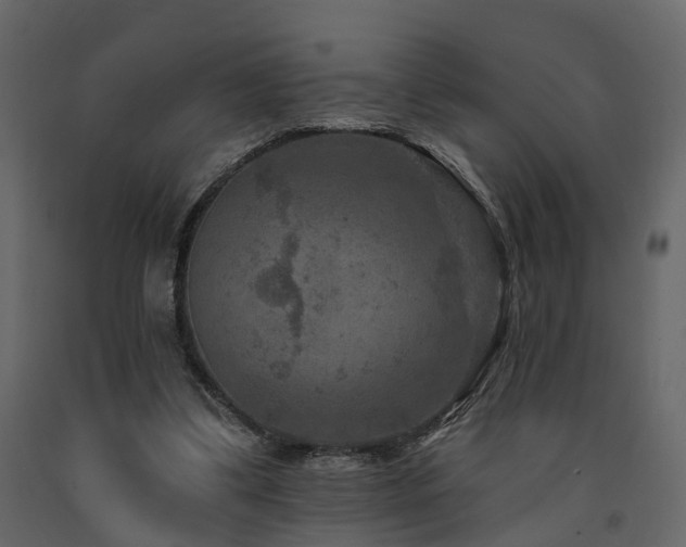 X0000091690299200708231446