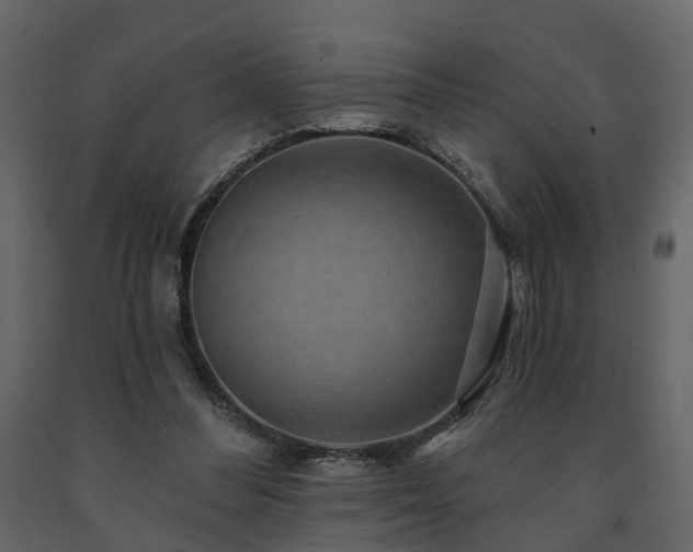 X0000091690300200708231446