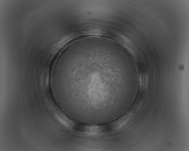 X0000091690301200708231446