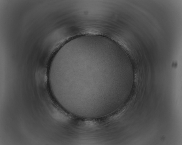 X0000091690302200708231446