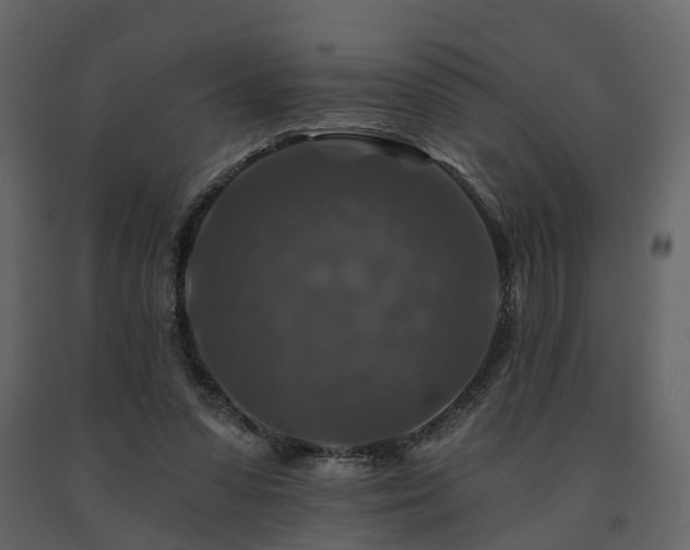 X0000091690303200708231446