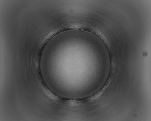 X0000091690305200708231446