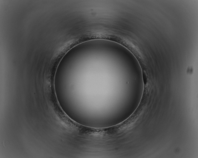 X0000091690306200708231446