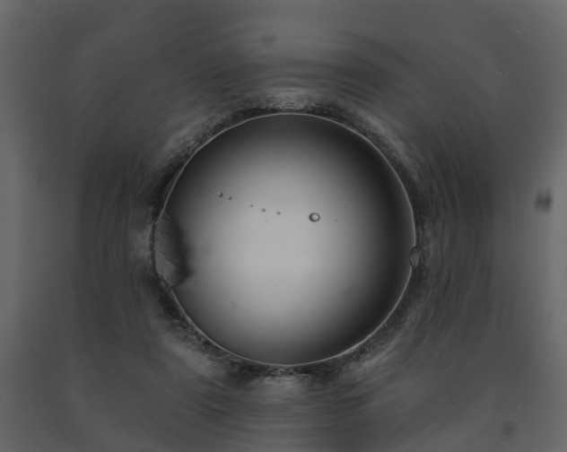 X0000091690307200708231446