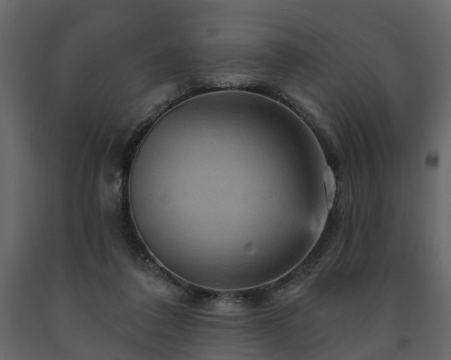 X0000091690308200708231446