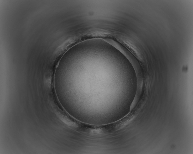 X0000091690309200708231446