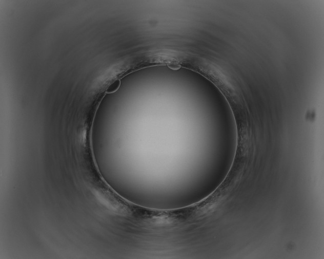 X0000091690310200708231446