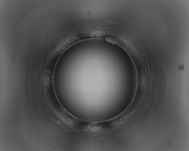 X0000091690311200708231446