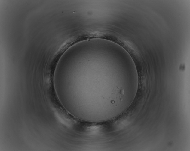 X0000091690312200708231446