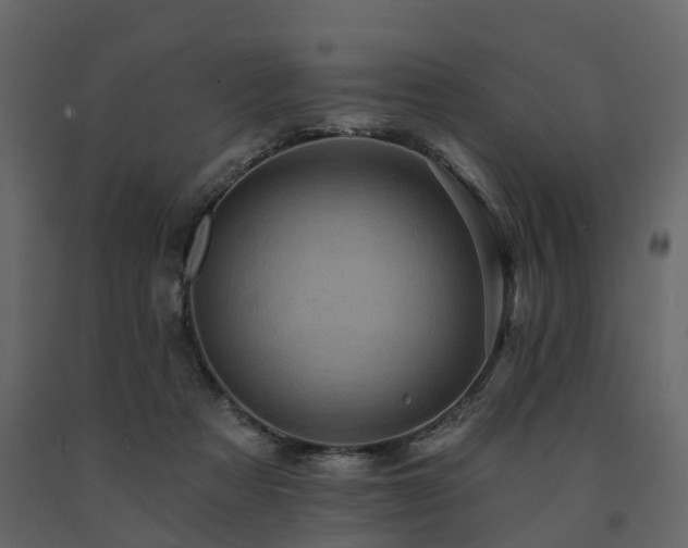 X0000091690313200708231446