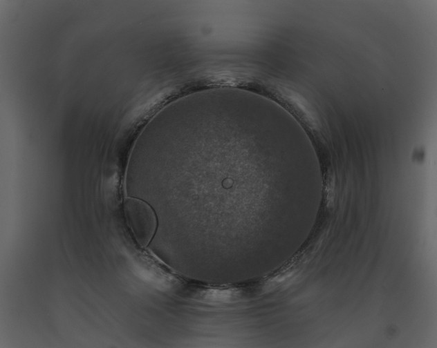 X0000091690314200708231446
