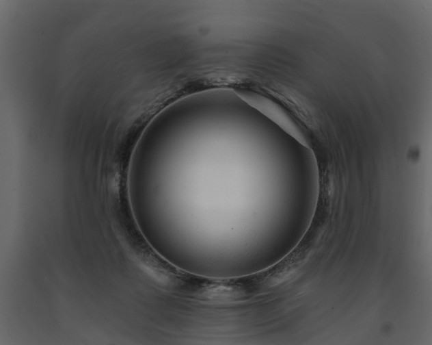 X0000091690315200708231446