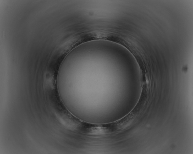 X0000091690316200708231446