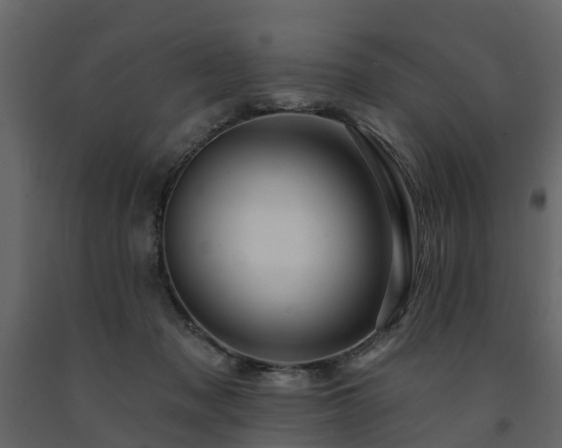 X0000091690317200708231446