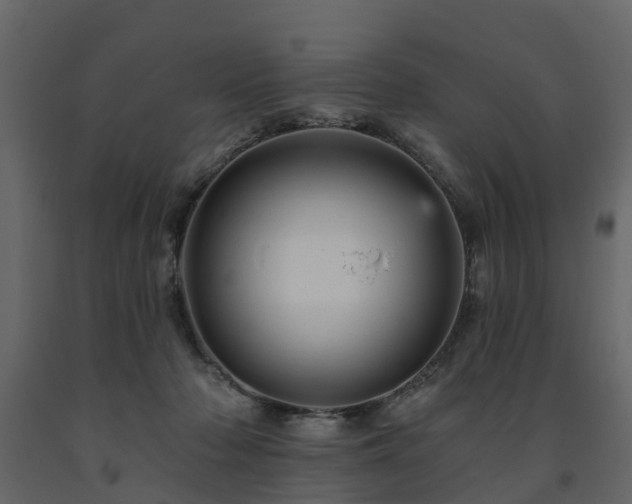 X0000091690318200708231446