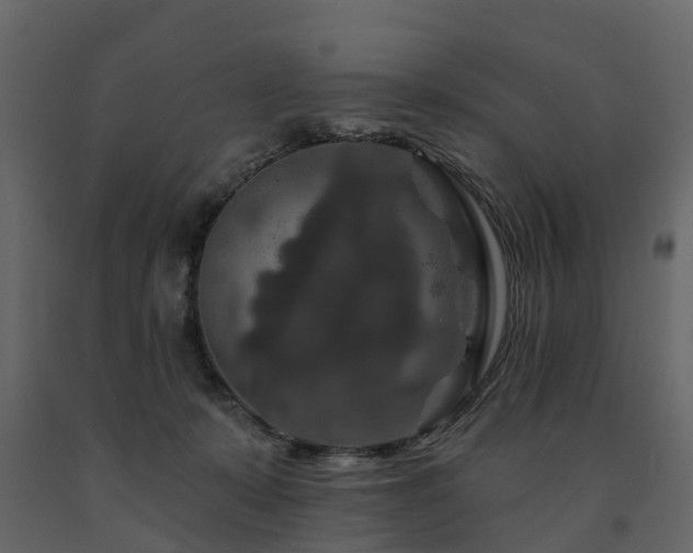 X0000091690319200708231446