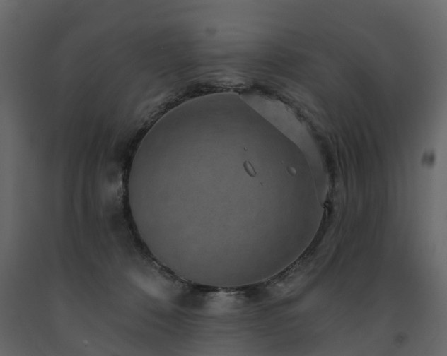 X0000091690320200708231446