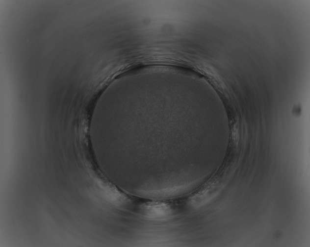 X0000091690322200708231446