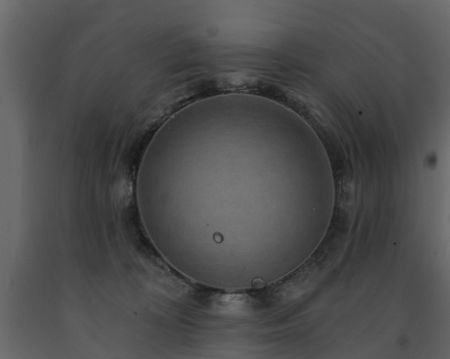X0000091690324200708231446