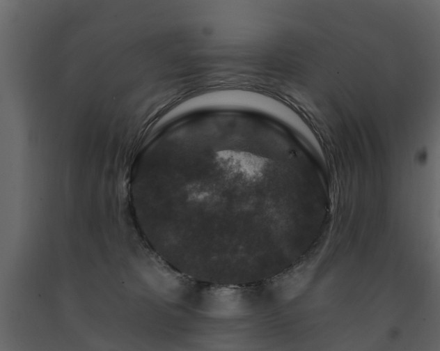 X0000091690325200708231446