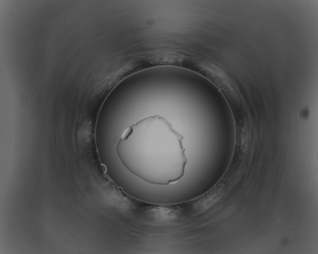 X0000091690326200708231446