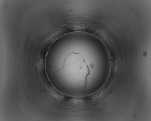X0000091690327200708231446