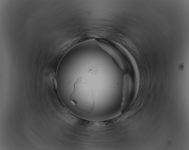 X0000091690329200708231446