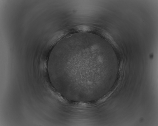 X0000091690330200708231446