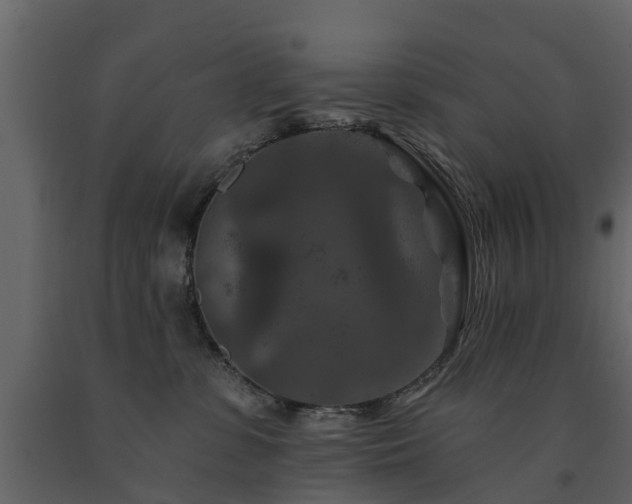 X0000091690331200708231446