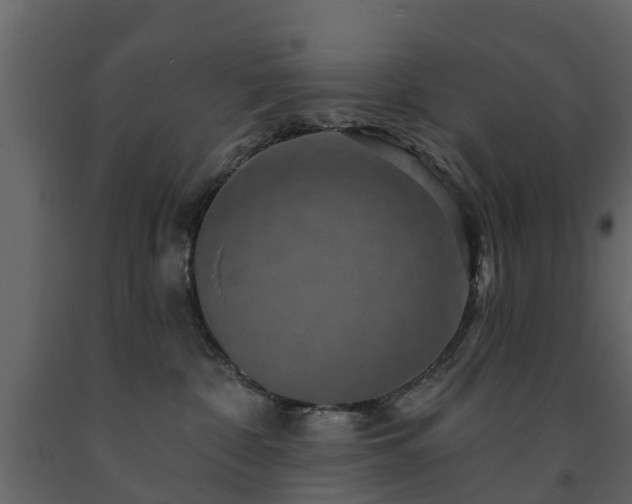 X0000091690332200708231446